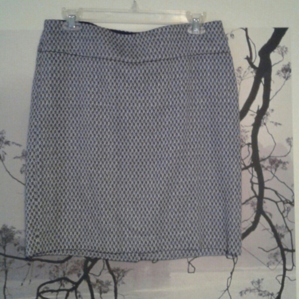 Navy blue and white Skirt